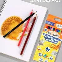 Карандаши Calligrata, цветные, 24 цвета, эконом, шестигранные, пластиковые