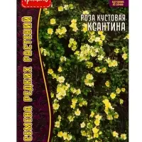 Семена цветов Роза Ксантина кустовая 10 шт.  12.29 г.
