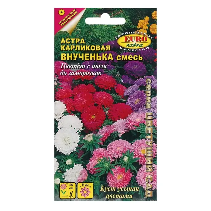 Семена цветов Астра Семена цветов Астра "Внученька", смесь карликовая, 0,1 г