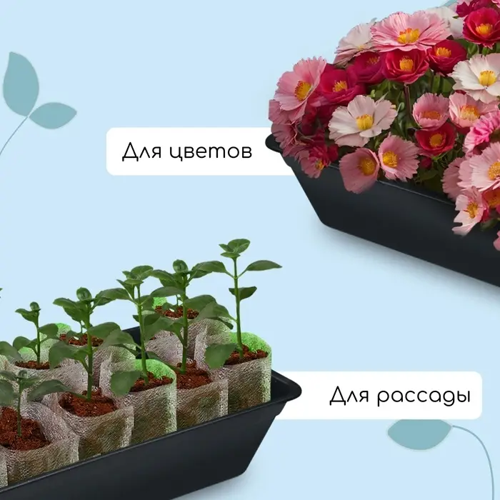 Ящик для рассады, 50&times;20&times;10 см, 6 л, пластик, цвет МИКС, &laquo;Урожай-3 м&raquo;