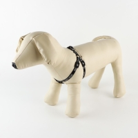 Комплект Security dog, шлейка 26-39 см, поводок 120х1 см