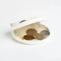 Кошелёк детский &laquo;Авокадо&raquo;, маленький, монетница, МИКС