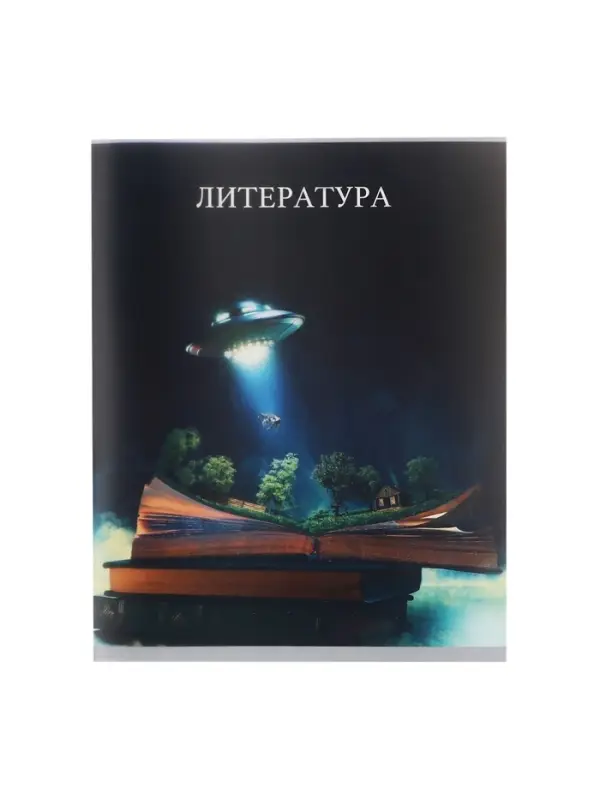 Предметная тетрадь по литературе Calligrata TOP &laquo;Школьный стиль&raquo;, 48 листов, в линейку, со справочным материалом, пластиковая обложка