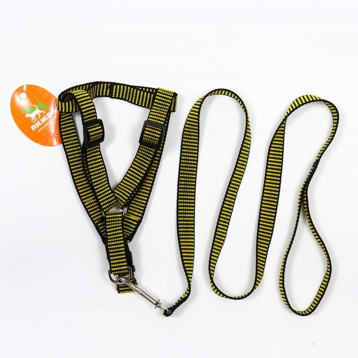 Комплект амуниции рельефный, поводок 120 х 2 см, ОГ 44-50 см, жёлто-чёрный Комплект амуниции рельефный, поводок 120 х 2 см, ОГ 44-50 см, жёлто-чёрный
