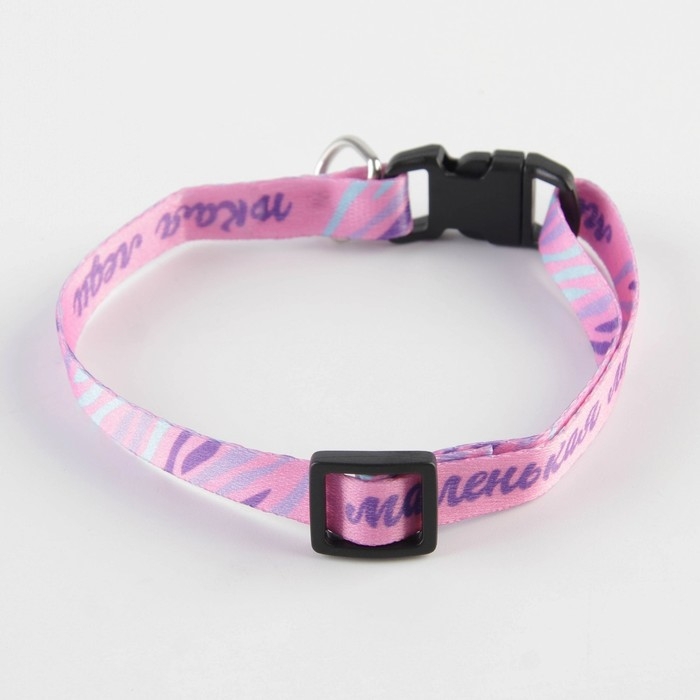 Ошейник для собак и кошек с фастексом «Маленькая леди», 30х1 см Ошейник для собак и кошек с фастексом «Маленькая леди», 30х1 см