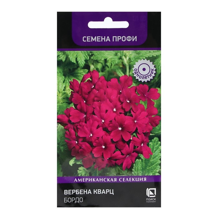 Семена цветов Вербена  Семена цветов Вербена "Кварц Бордо" 10 шт