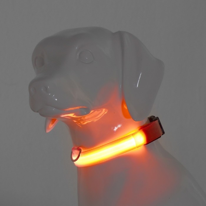 Ошейник с подсветкой размер L, ОШ 45-52 х 2,5 см, 3 режима свечения оранжевый Ошейник с подсветкой размер L, ОШ 45-52 х 2,5 см, 3 режима свечения оранжевый