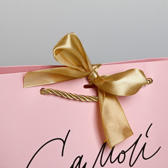 Пакет подарочный, упаковка, «Самой», 19 х 20 х 9 см Пакет подарочный, упаковка, «Самой», 19 х 20 х 9 см