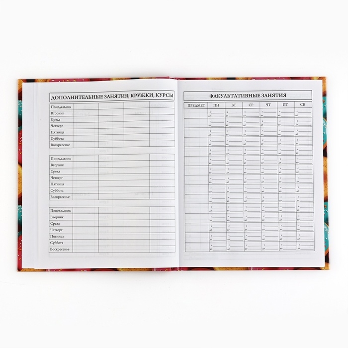 Дневник школьный 5-11 класс, в твердой обложке, 48 л. «Пончики» Дневник школьный 5-11 класс, в твердой обложке, 48 л. «Пончики»