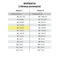 Папка для черчения А4, 24 листа, 200 г/м, BRAUBERG, без рамки, ватман ГОЗНАК КБФ