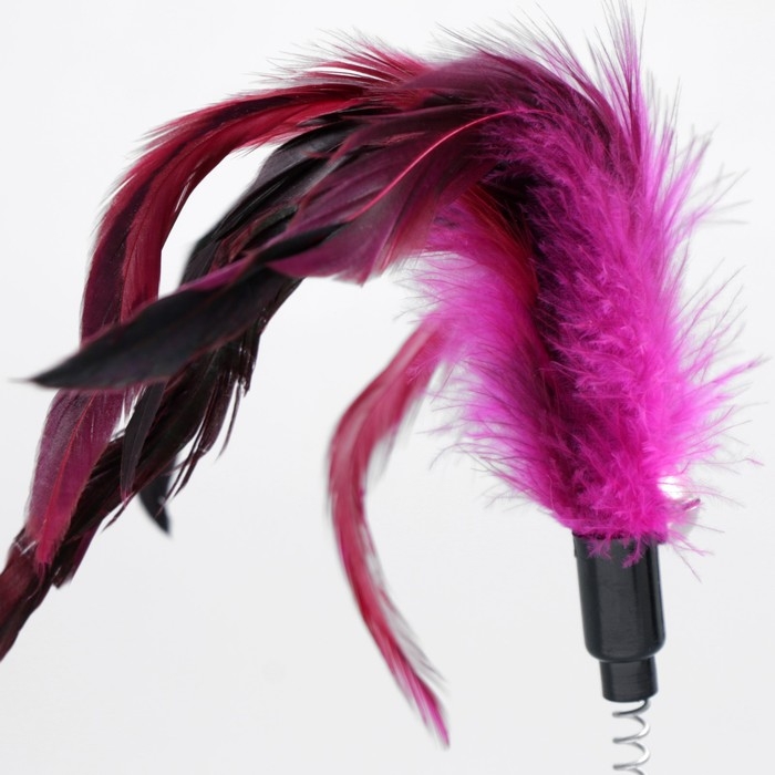 Дразнилка на прозрачной присоске  Дразнилка на прозрачной присоске "Перышки", 32 см, микс цветов