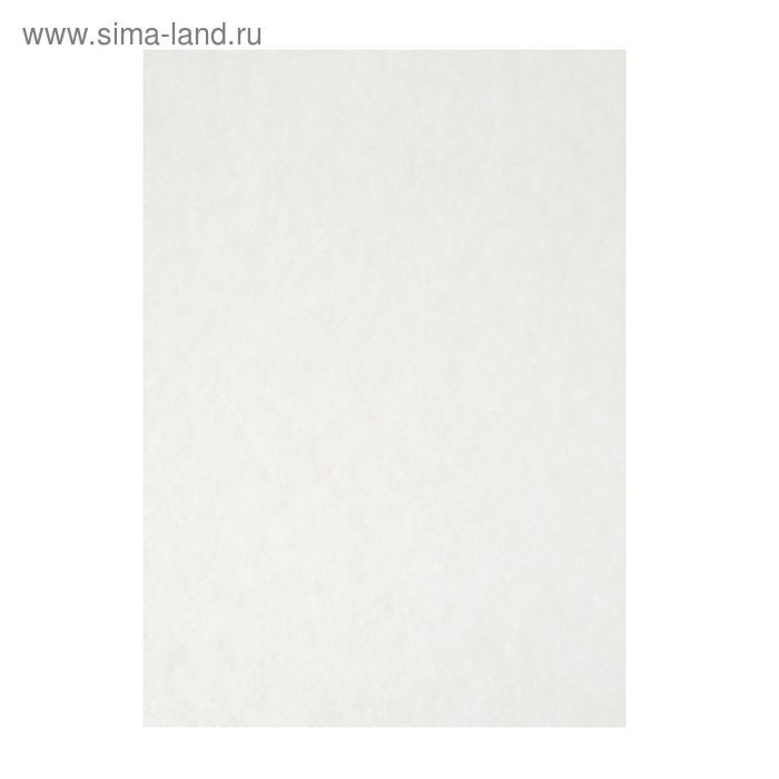 Папка для акварели А3, 10 листов 200 г/м&sup2;, Calligrata, бумага СПБФ ГОЗНАК