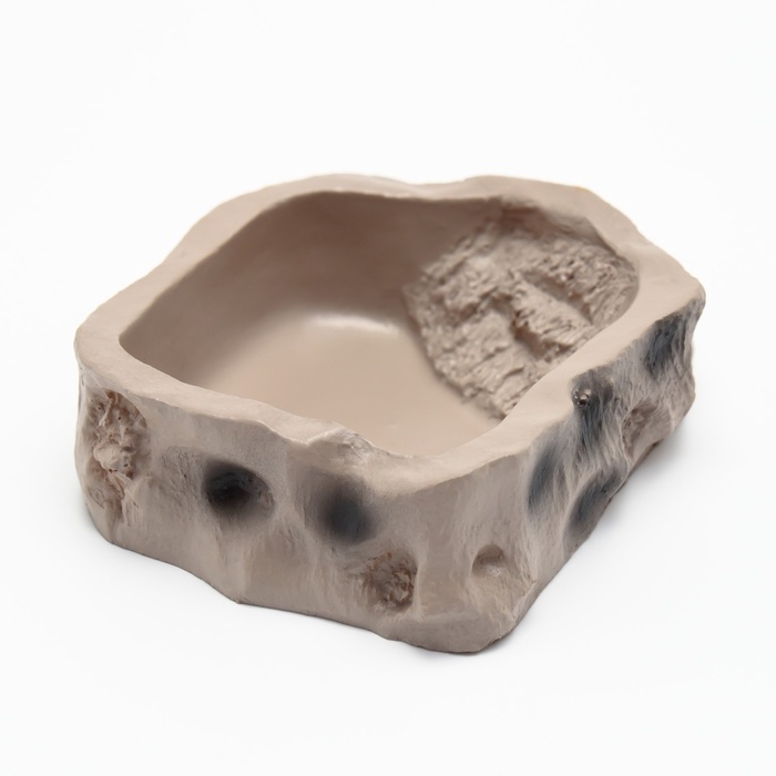 Кормушка для террариума, 8,2 х 8 х 2,5 см Кормушка для террариума, 8,2 х 8 х 2,5 см