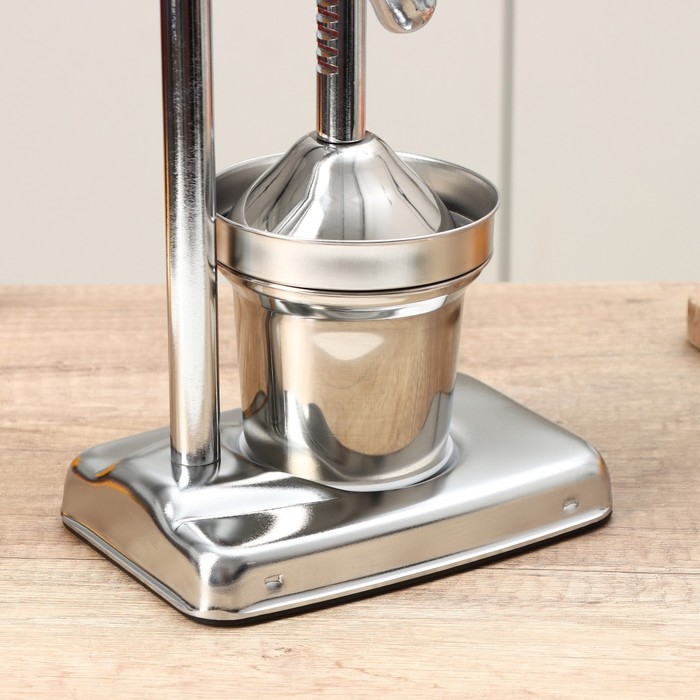 Соковыжималка механическая Доляна Fruits, 20×14,5×37 см Соковыжималка механическая Доляна Fruits, 20×14,5×37 см