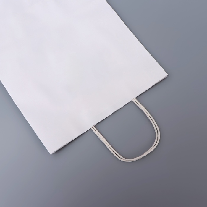 Пакет белый без печати, круглая ручка, 26 х 12 х 33 см, 120 г Пакет белый без печати, круглая ручка, 26 х 12 х 33 см, 120 г
