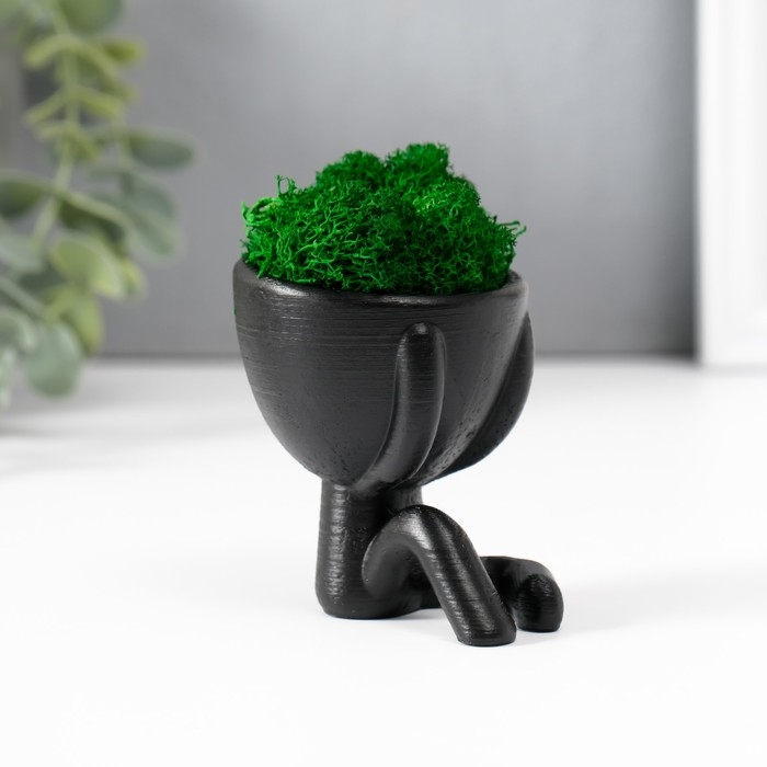 Кашпо бетонное  Кашпо бетонное "Мистер Грин" со мхом черный 5,5х6,5х6,5 см (мох зеленый стабилизированный)
