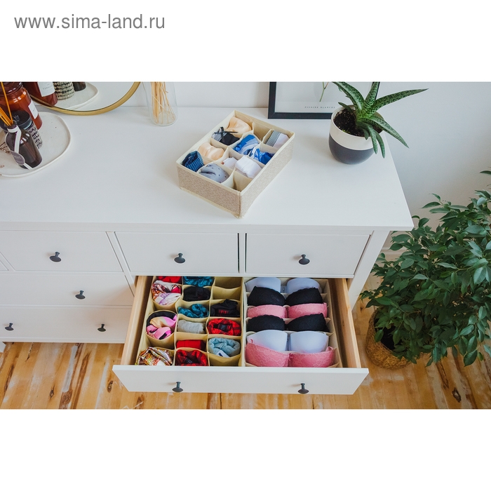 Органайзер для хранения белья Доляна «Европа», 12 ячеек, 27×20×10 см, цвет бежевый Органайзер для хранения белья Доляна «Европа», 12 ячеек, 27×20×10 см, цвет бежевый