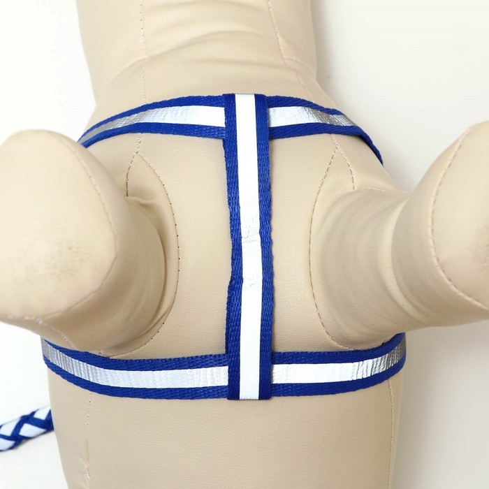 Комплект  Комплект "Плетенка", флуоресцентный, поводок 115 х 1 см, ОГ 32-48 х 1,5 см, синий