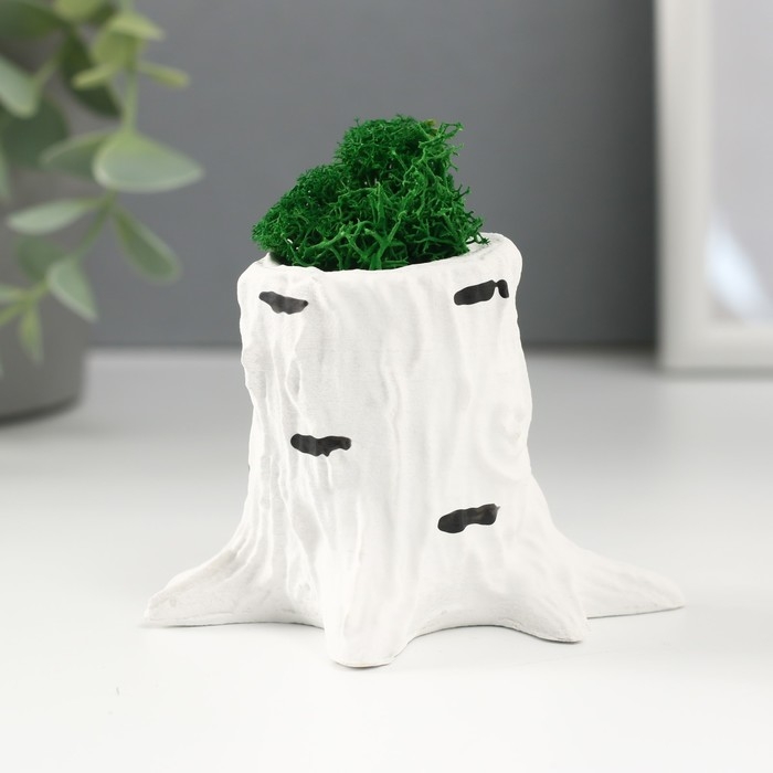 Кашпо бетонное Кашпо бетонное "Пенек березка" 7,5х8,5х7 см со мхом (мох зеленый стабилизированный)