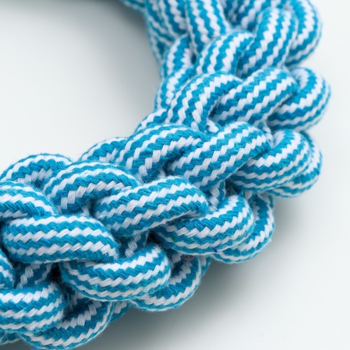 Игрушка канатная Игрушка канатная "Кольцо", 250 г, до 20 см, голубая/белая