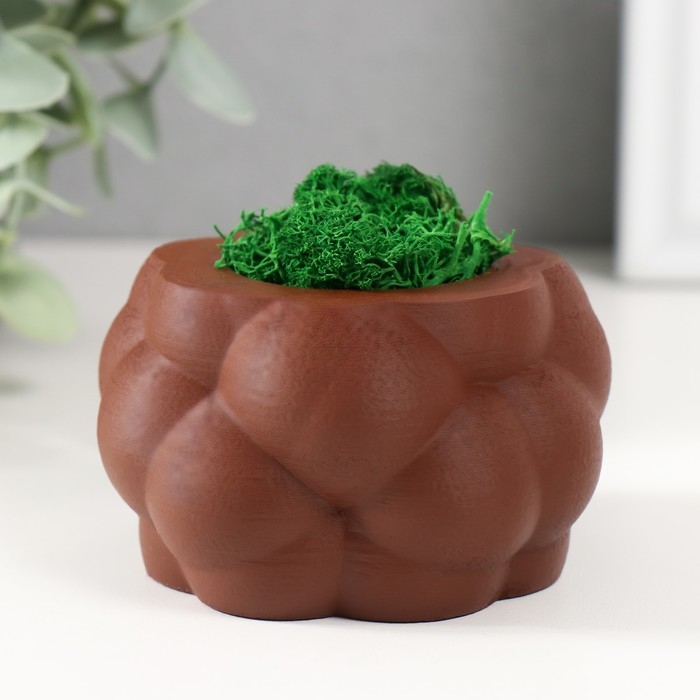 Кашпо бетонное Кашпо бетонное "Пузырьки" со мхом коричневый 8х8х5см (мох зеленый стабилизированный)