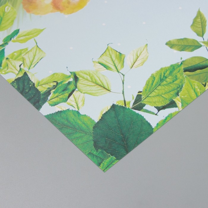 Бумага для скрапбукинга Бумага для скрапбукинга "Цыплята на траве" плотность 180 гр набор 5 шт 30,5х32 см