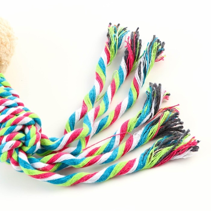 Игрушка мягкая для собак  Игрушка мягкая для собак "Медведь" белый, 24 см