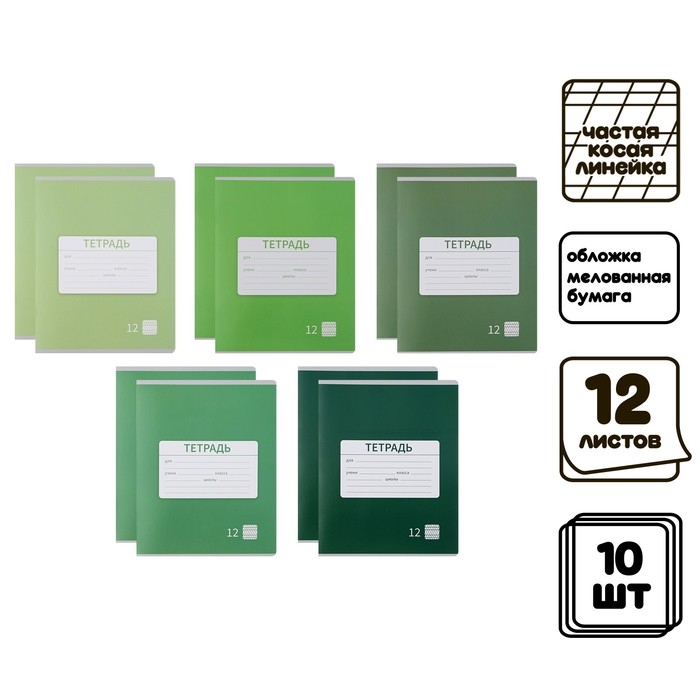 Комплект тетрадей из 10 штук, 12 листов в частую косую линию Calligrata "Однотонная Новая Школьная. Эконом", обложка мелованная бумага, ВД-лак, блок №2, белизна 75% (серые листы), 5 видов по 2 штуки