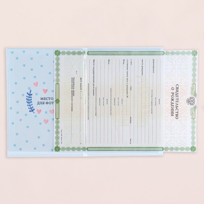 Папка под свидетельство о рождении  Папка под свидетельство о рождении "Утёнок" голубой бант, А5