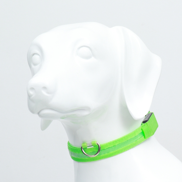 Ошейник с подсветкой размер XL, ОШ 52-60 х 2,5 см, 3 режима свечения зелёный Ошейник с подсветкой размер XL, ОШ 52-60 х 2,5 см, 3 режима свечения зелёный