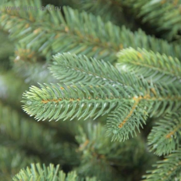 Ель искусственная Изумрудная 180 см, d нижнего яруса 110 см Ель искусственная Изумрудная 180 см, d нижнего яруса 110 см