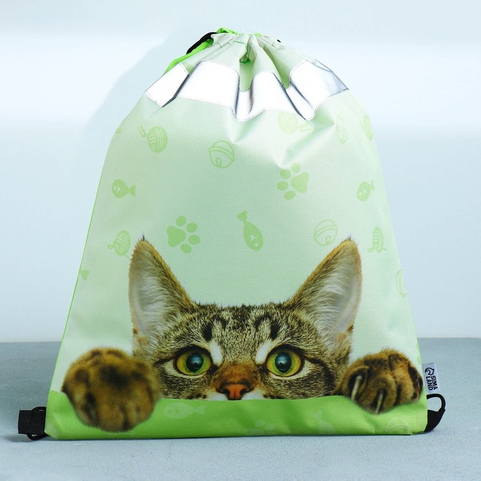 Мешок для обуви со светоотражающим элементом «Забавный котёнок» 30 х 40 см