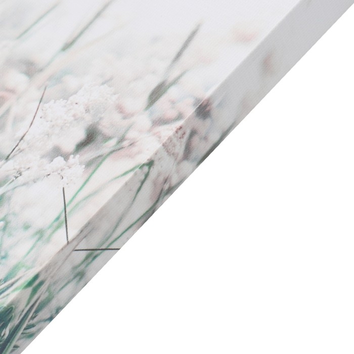 Картина-холст на подрамнике Картина-холст на подрамнике "Конь" 50х70 см