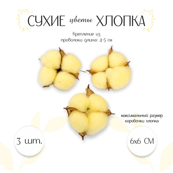Сухие цветы хлопка, набор 3 шт., размер 1 шт. 6 × 6 см, цвет жёлтый Сухие цветы хлопка, набор 3 шт., размер 1 шт. 6 × 6 см, цвет жёлтый