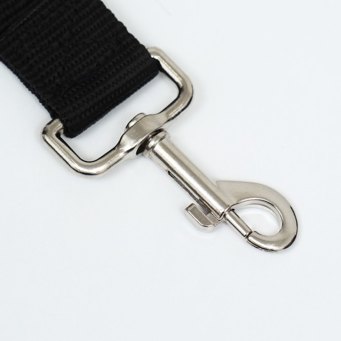 Поводок 2 м х 3 см, чёрный Поводок 2 м х 3 см, чёрный