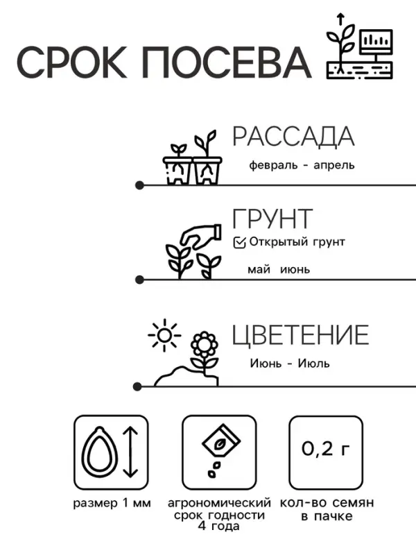 Семена цветов Астра низкорослая  Семена цветов Астра низкорослая "Желтый ковер", 0,2 г