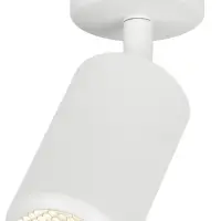 Светильник настенно-потолочный спот IP20 белый OL55 WH MR16 GU10