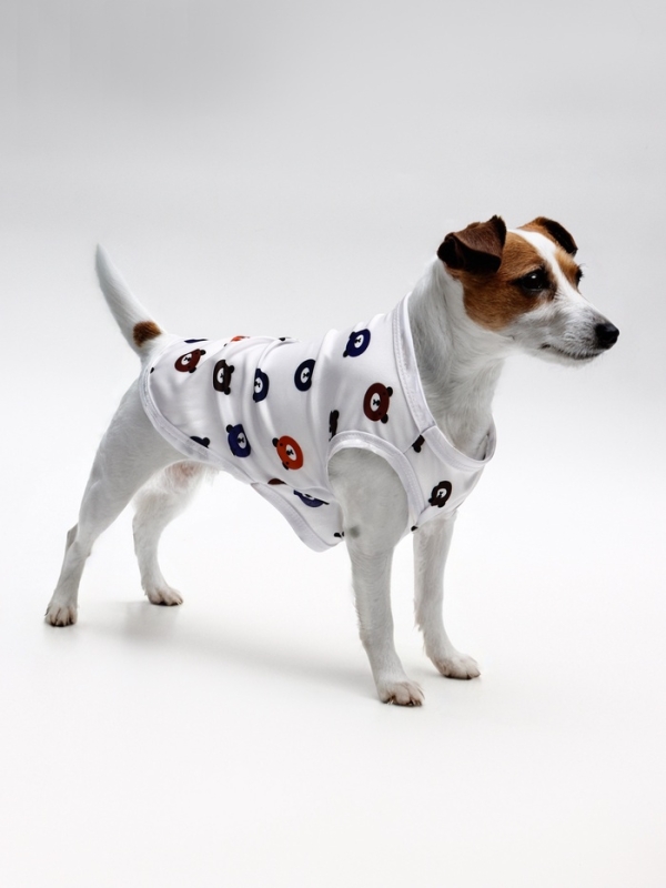 Футболка для животных  Футболка для животных "Мишка", XL (ДС 38, ОГ 50 см), белая