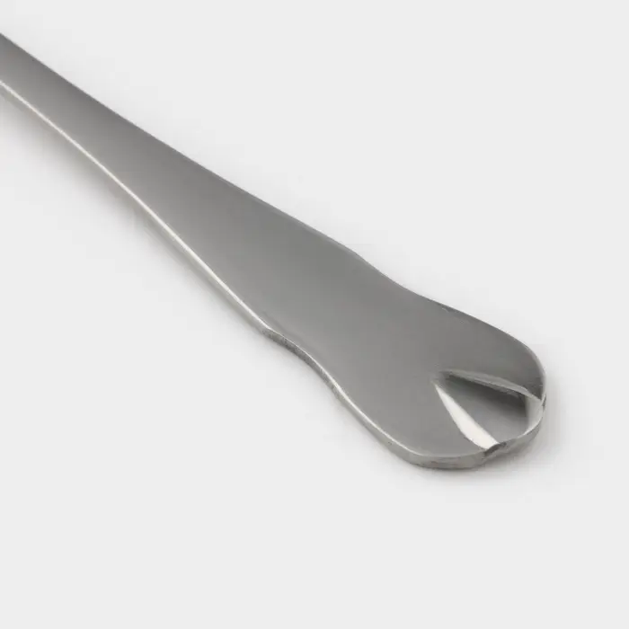 Набор чайных ложек Доляна &laquo;Капля&raquo;, 15 см, 6 шт., нержавеющая сталь, серебристый