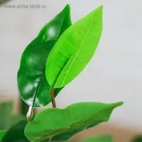 Дерево искусственное &laquo;Плюмерия&raquo;, h=90 см