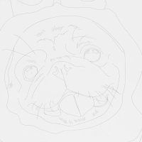 Набор для рисования Скетчинг акварелью Модные пёсики, Рн-044