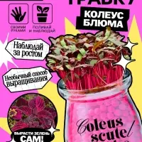 Набор для опытов &laquo;Выращиваем травку&raquo;, своими руками, розовый