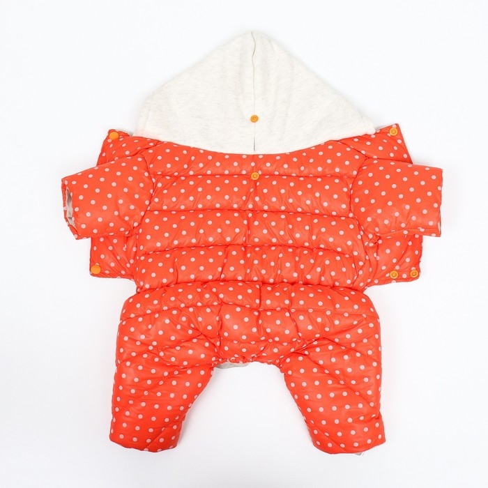 Комбинезон  Комбинезон "Для прогулки", размер 18 (ДС 40 см, ОГ 50 см, ОШ 38 см), оранжевый