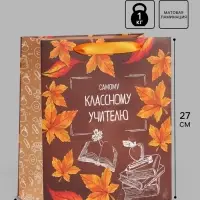Пакет подарочный ламинированный &laquo;Учитель года&raquo;, ML 27&times;23&times;11.5 см
