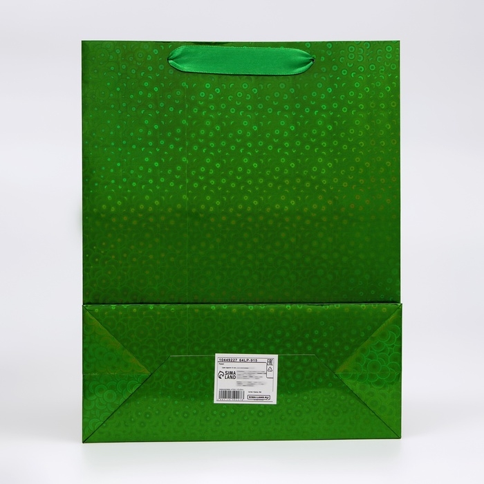 Пакет голография с окном, "Зеленый",  M 32 х 25,5 х 11 см набор 1шт   10449227