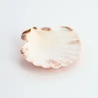Ракушка декоративная Гребешок, 10-12 см