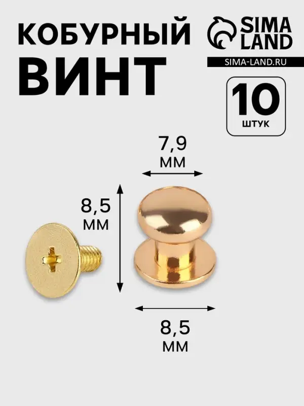 Кобурный винт d=7.9/8.5&times;8.5 мм, 10 шт., цвет золотой