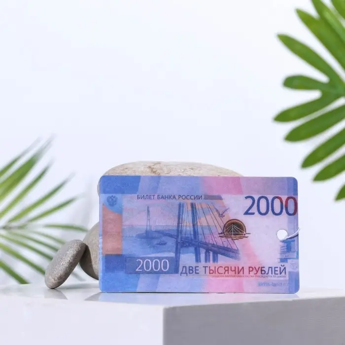 Ароматизатор в авто «2000 рублей», аромат: черный лед