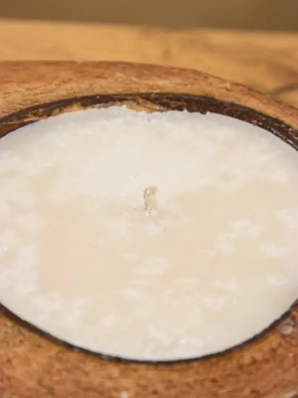 Свеча в кокосе, 18×22×7 см, коричневая