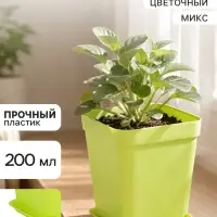 Горшок цветочный с поддоном, 7&times;7&times;7.5 см, 200 мл, пластиковый, МИКС